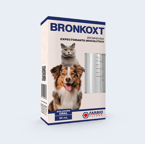 Bronkoxt (Bromhexina)