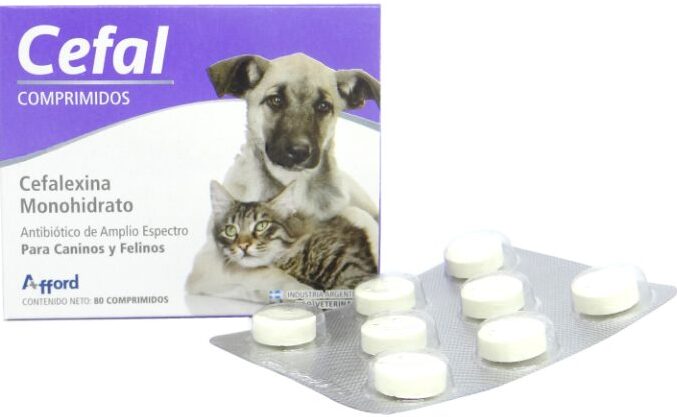Cefal Comprimidos (Cefalexina 500)